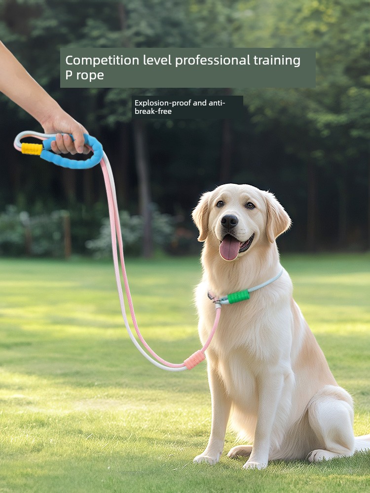P Chain P Rope Dog Hand Holding Rope Explosion-Proof Anti Breaking Loose Small and Medium-Sized Dogs Large Dog Tie Dog Wiring Sleeve Neck Dog Walking Artifact