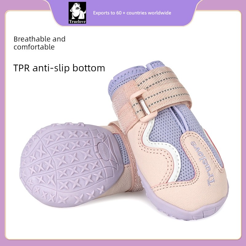 Truelove Teddy Bichon Frise Anti-Dirty Dog Shoes