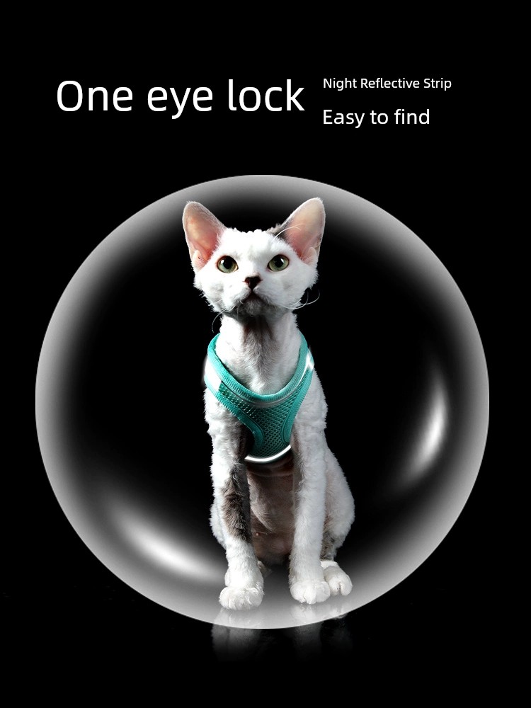 Специальный ремень против побега, нагрудный ремень для кошек