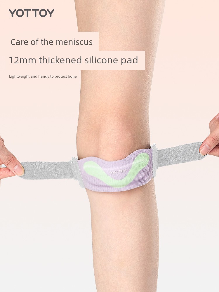Badminton Menisci Injury Patella Retinaculum Sports Kneecaps