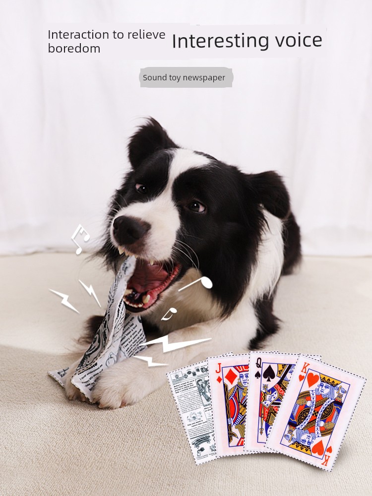 Newspaper Self-Hi Relieving Boredom Corgi Bichon Puppy Dog