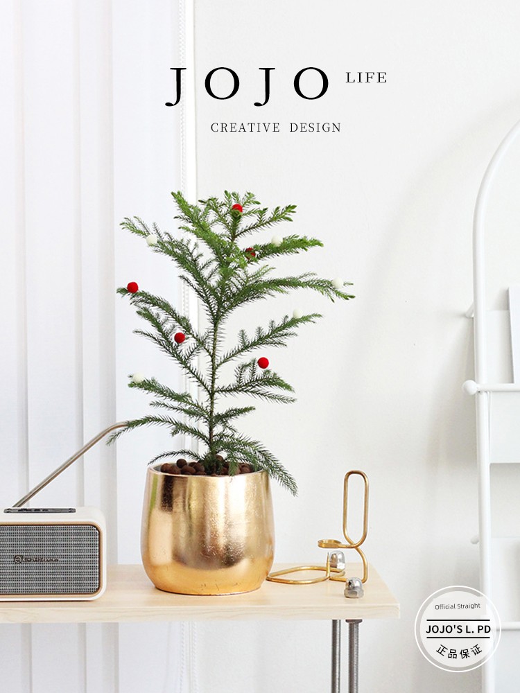 Jojo's L. Pd. Night. Golden Christmas Flower Pot Fancy Living Room Scandinavian Indoor | Night Length