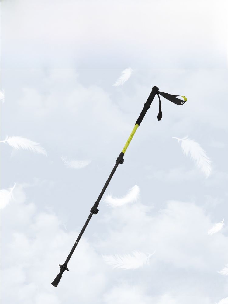 Mobi Garden Carbon Fiber Kids Hiking Dragon Ridge Alpenstock