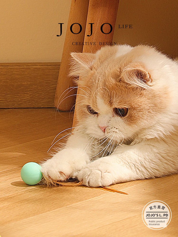 Jojo's L. Pd. Mr. Grocery. Pet Bite-Resistant Silicone Toy Feather Solid Elastic Ball | Funny Smile