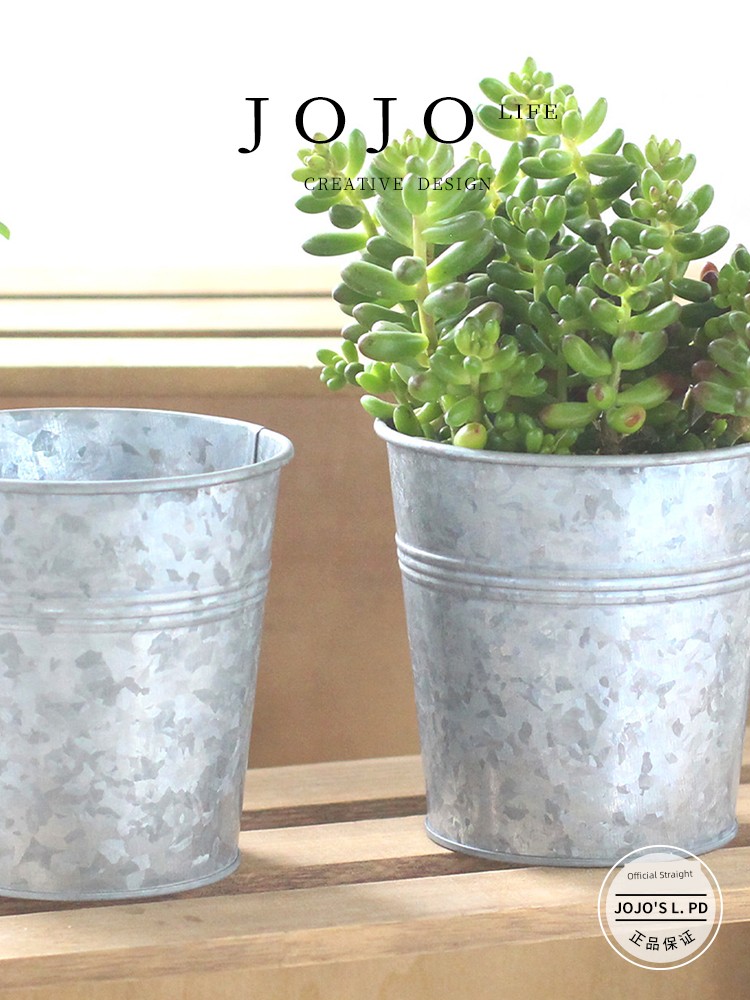 Jojo's L. Pd. Vocabulary. Retro Succulent Flower Pot Flower Bucket Old Iron Sheet Flower Device | Zhou Tablet