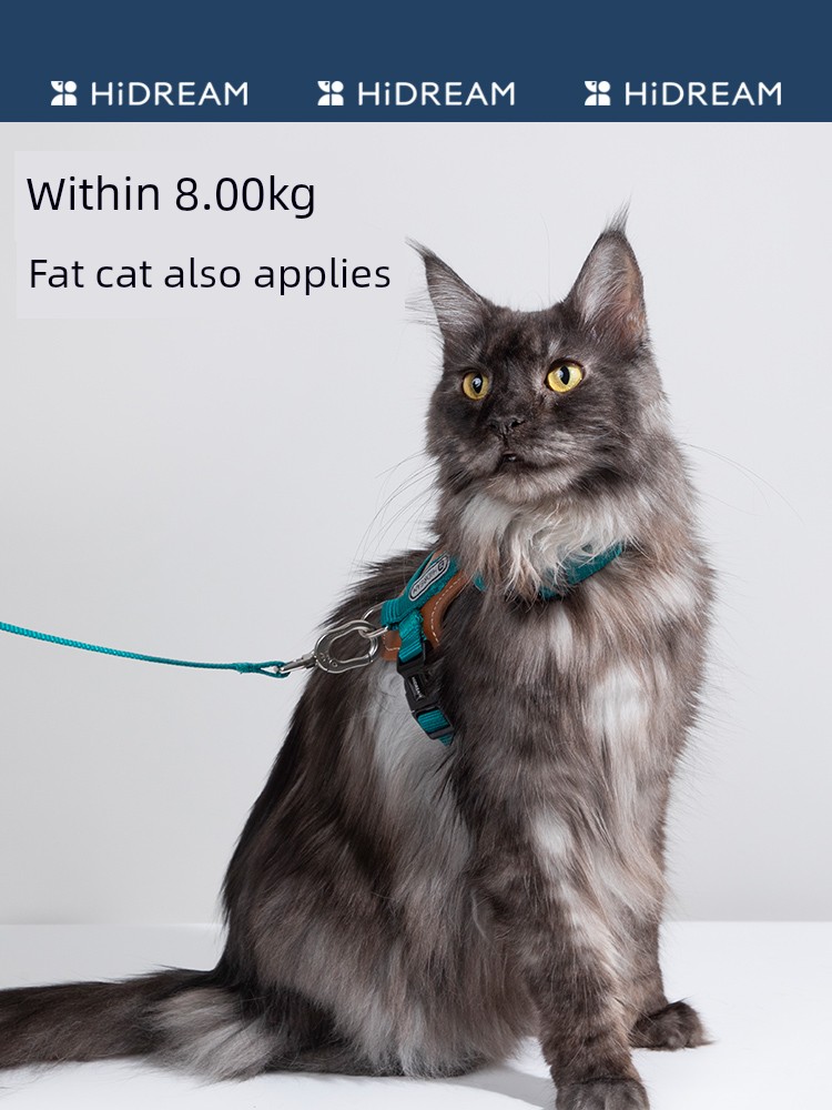 Hidream Кожаная шлейка для кошек