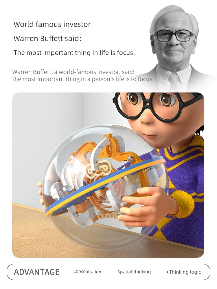 Large Thinking Training Boy 6 Years Old and over 5 Perplexus