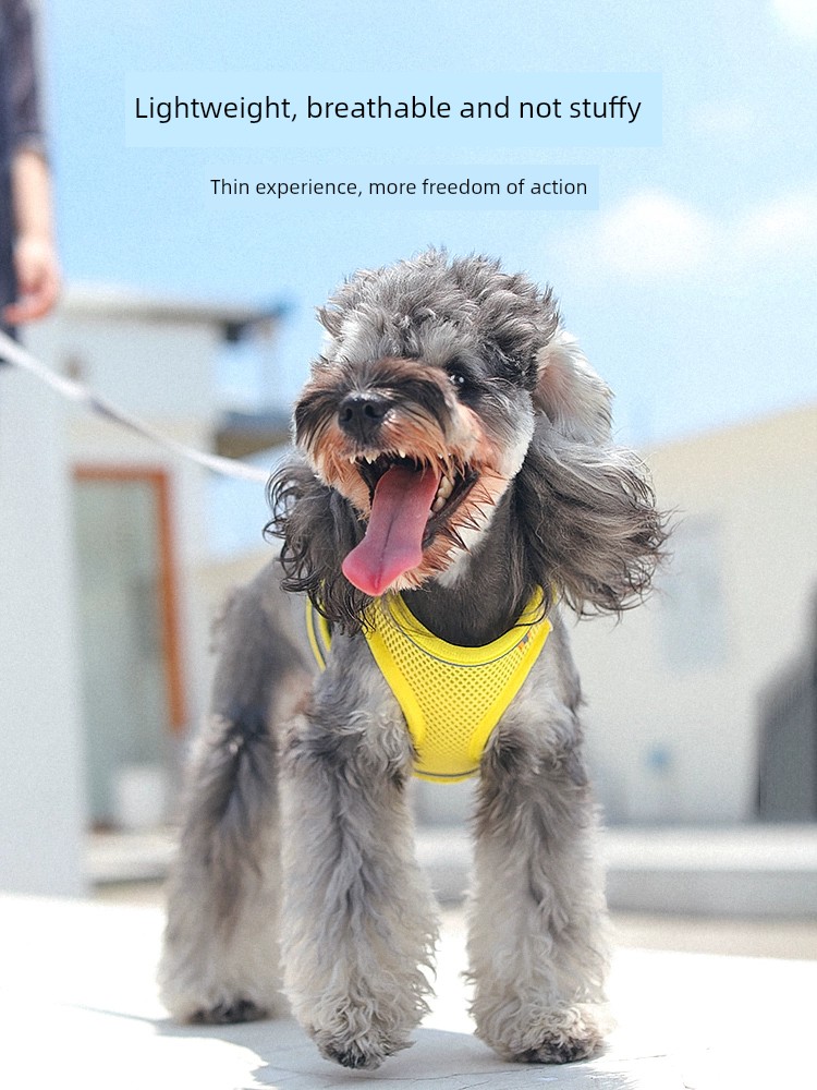 夜光宠物全身反光牵引绳