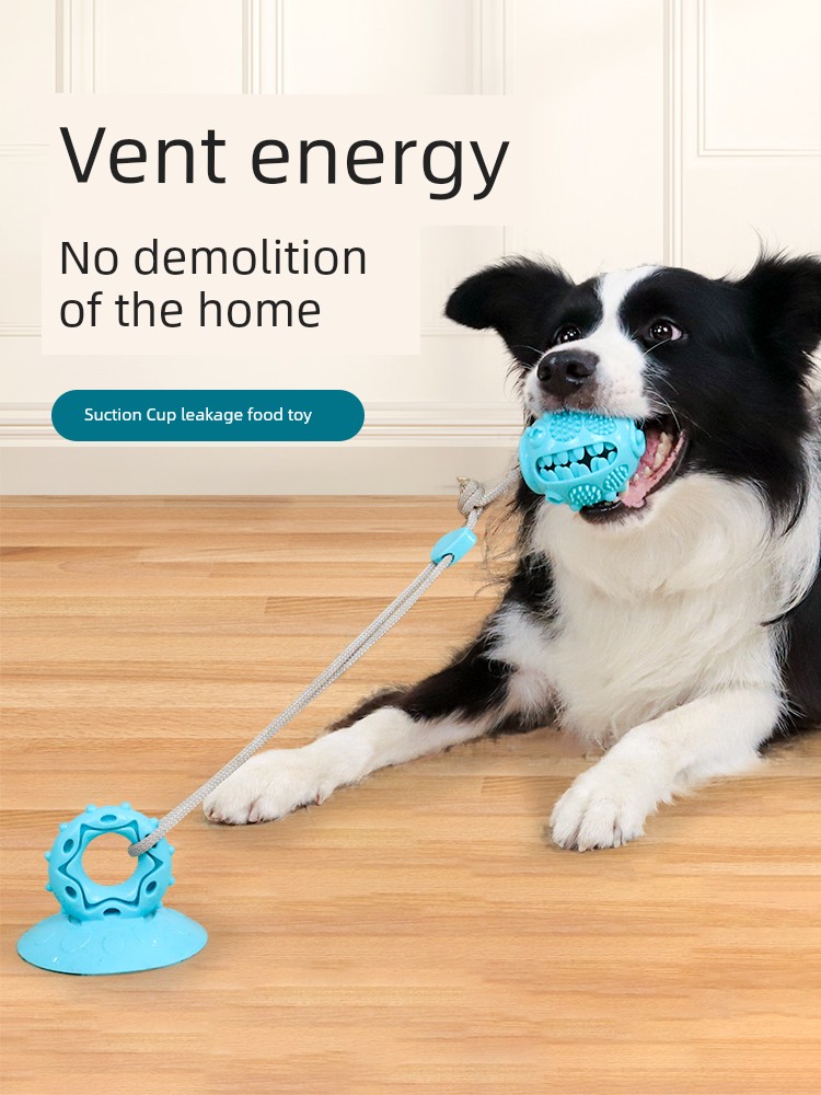 Self-Hi Handy Gadget Border Collie Consumption Pet Supplies Dog