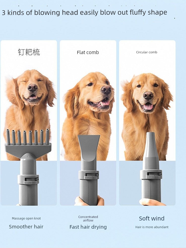 Hippie Dog Pet Water Dispenser High Power For Home Dogs and Cats Hair Dryer Large Dog Dryer Special Hair Blowing Handy Gadget