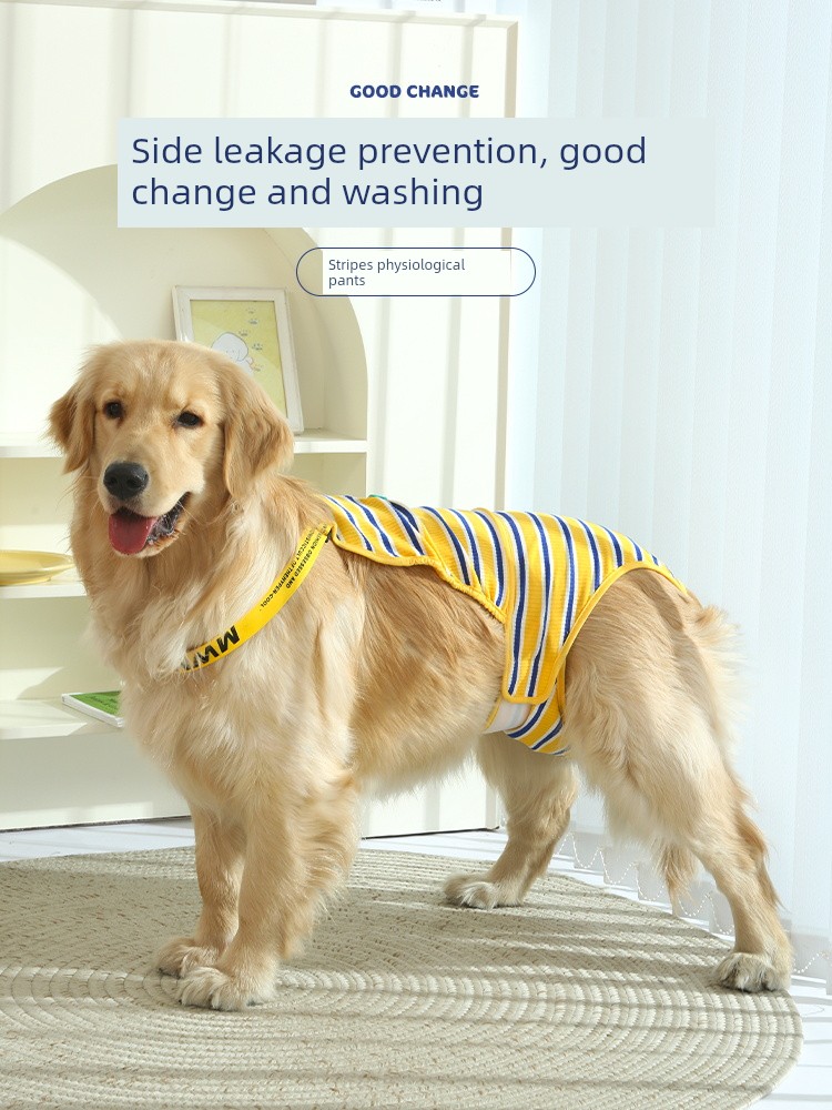 Dog Physical Pants Large Dog Female Canine Labrador Anti-Mating Female Female Canine Sanitary Panty Big Dog Golden Retriever Pants for Menstrual Period
