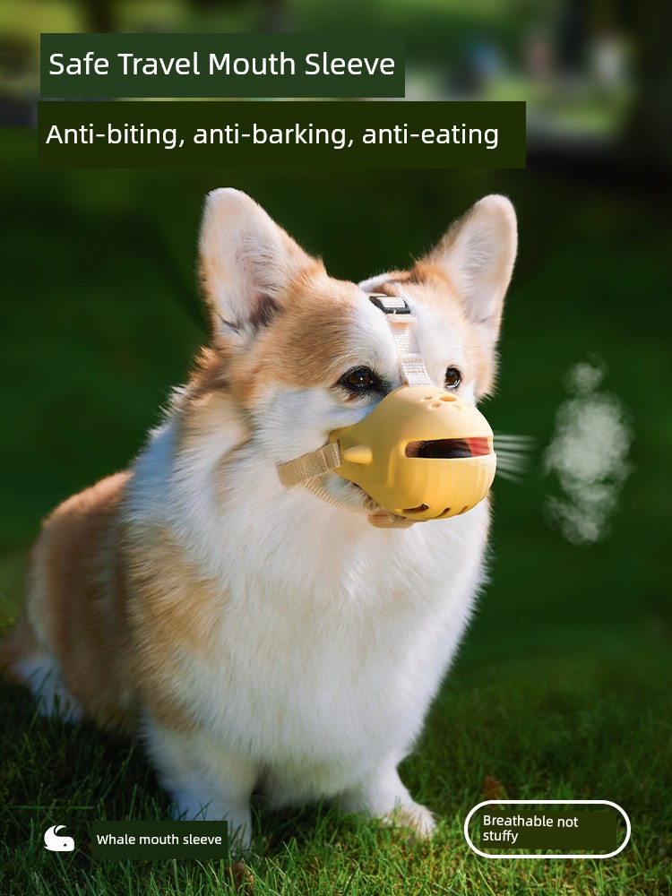 Teddy Shiba Inu Special Anti-Nuisance Dog