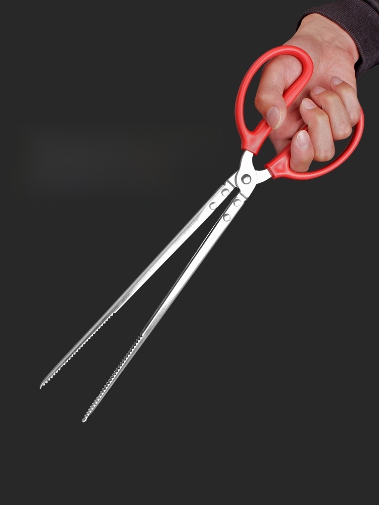 Ricefield Eel Crab Pliers Non Slip Shanghai Professional Stainless Steel