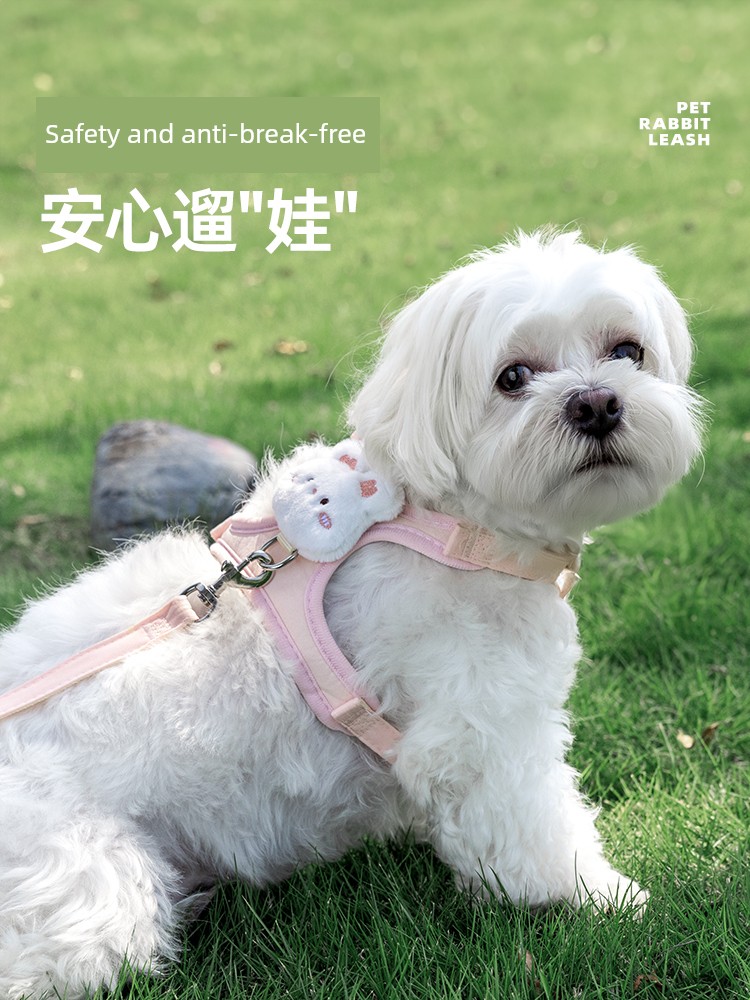 Puppy Dog Vest Teddy Bichon Pet Hand Holding Rope