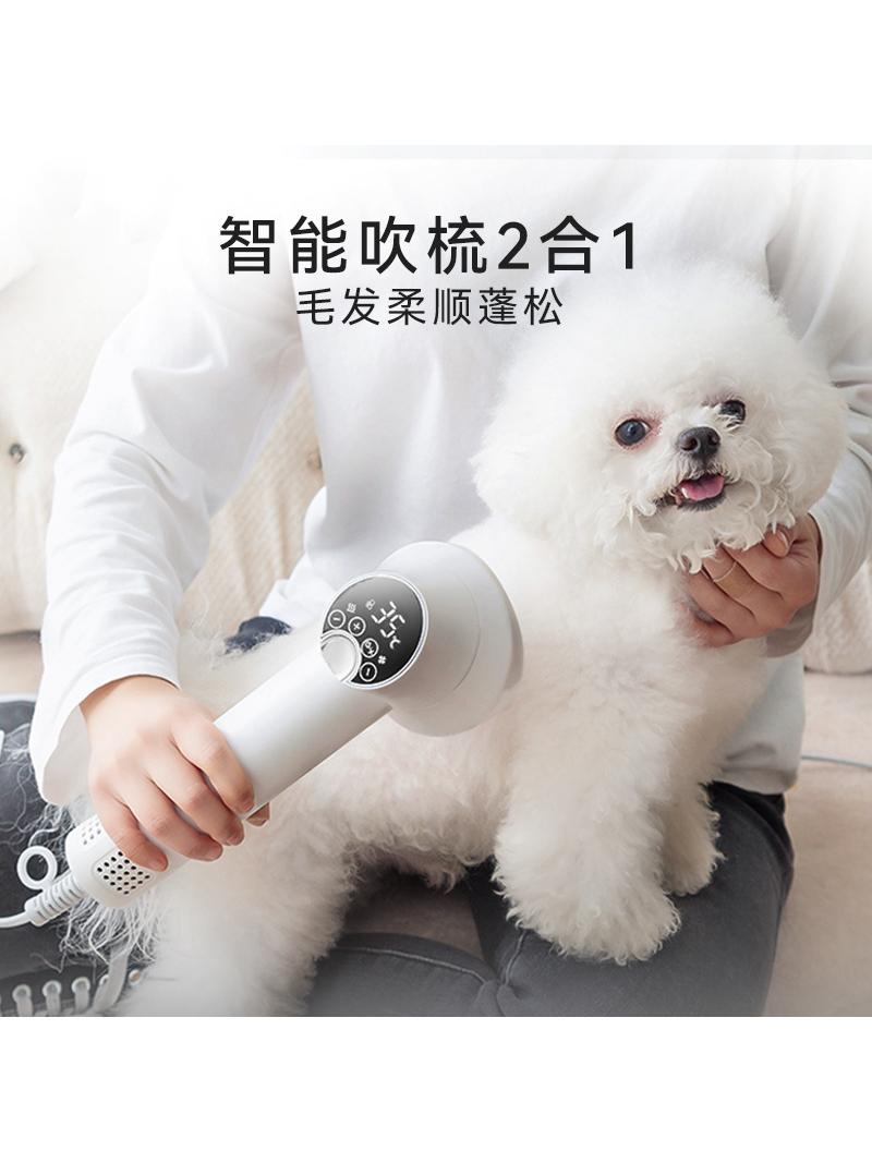 Hippie Dog Pet Hair Dryer Dog Blowing Hair Pulling One Cat Comb Quick-Drying Small Size Dogs Bath Water Blower